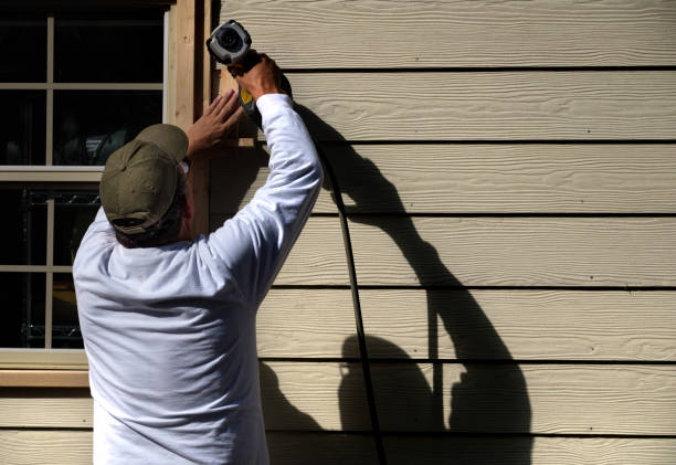 Best Siding Repair  in Ada, MN