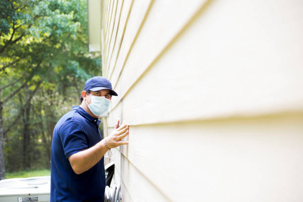 Affordable Siding Repair and Maintenance Services in Ada, MN