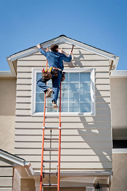 Best Fascia and Soffit Installation  in Ada, MN